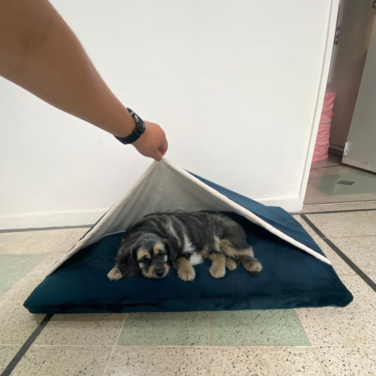 Cama para perro